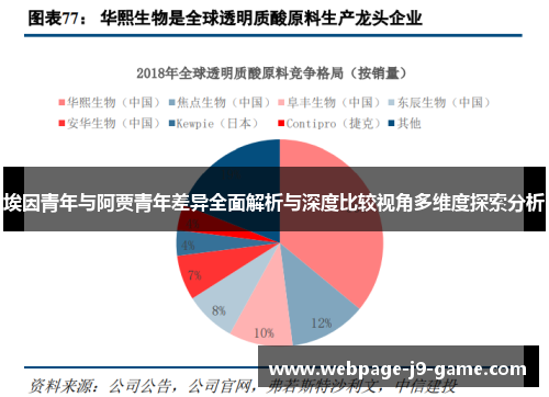 埃因青年与阿贾青年差异全面解析与深度比较视角多维度探索分析